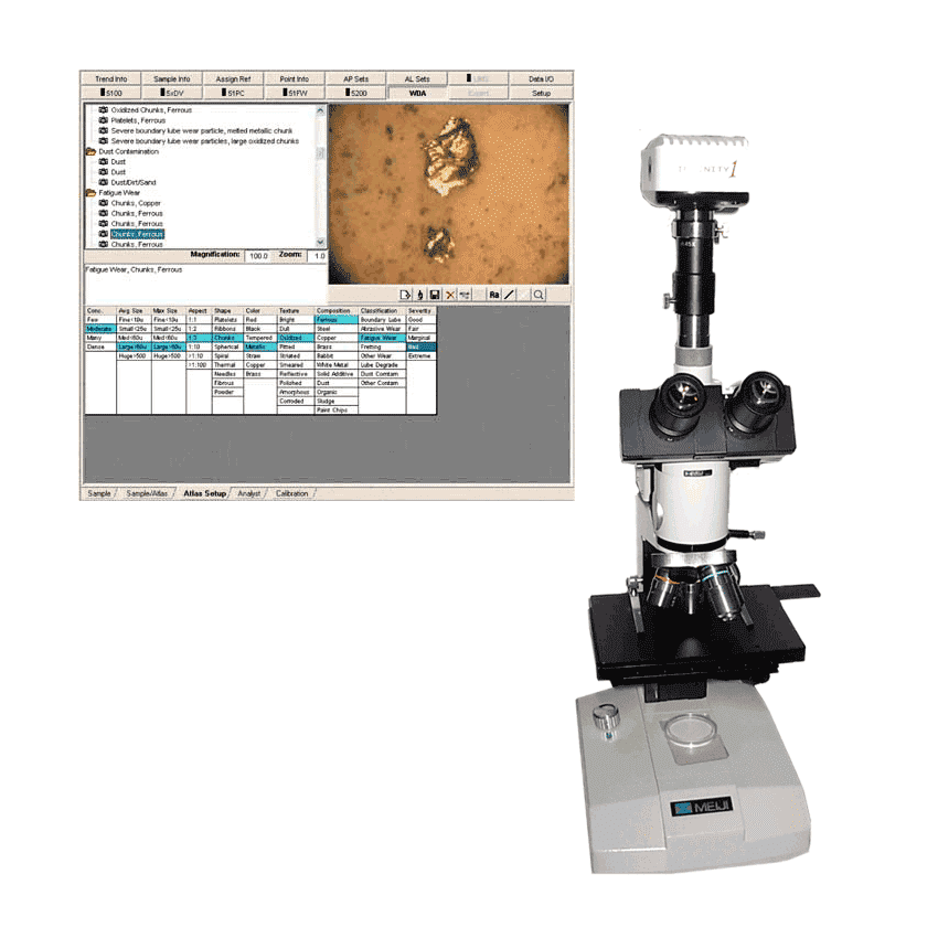 Microscopio con cámara digital y software OilView WDA